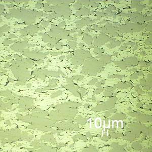 银镍石墨 (AgNiC)