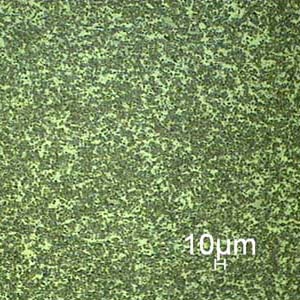 银钨/银碳化钨 (AgW/AgWC)